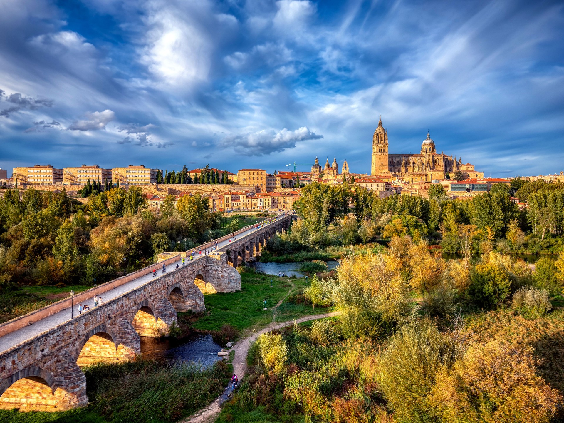 Aerial view of Salamanca with the cathedral and the roman bridge.